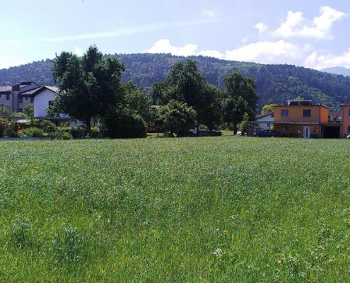 Blick Süden