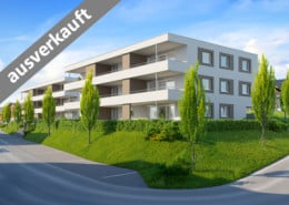 WA Satteins, Schwarzenhornstraße