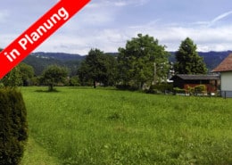 wa-hoerbranz-hochstegstrasse-mit-banner-in-planung