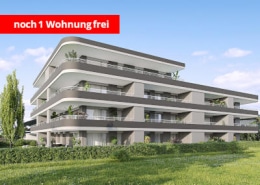 WA Tosters, Litscherweg (1 Wohnung)