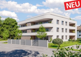 öthis, Treietstraße 67 (von Süden), Neu